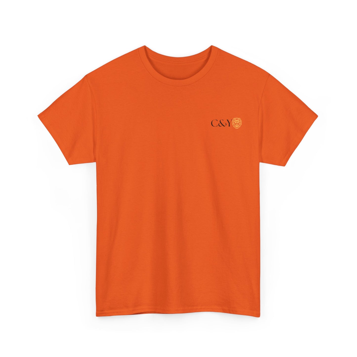 Unisex T-shirt C&Y, Casual Wear