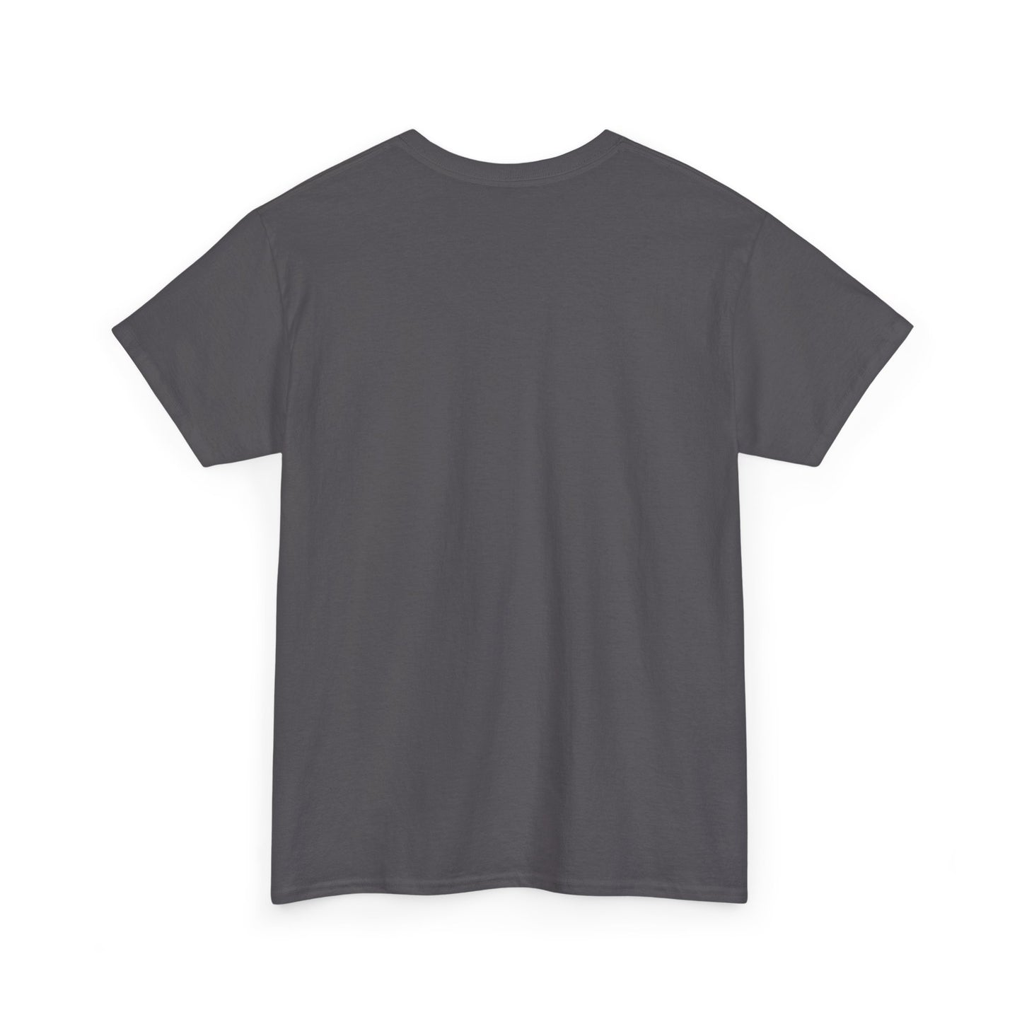 T-shirt “Skull Fire & Ice” – Coton épais unisexe, streetwear graphique