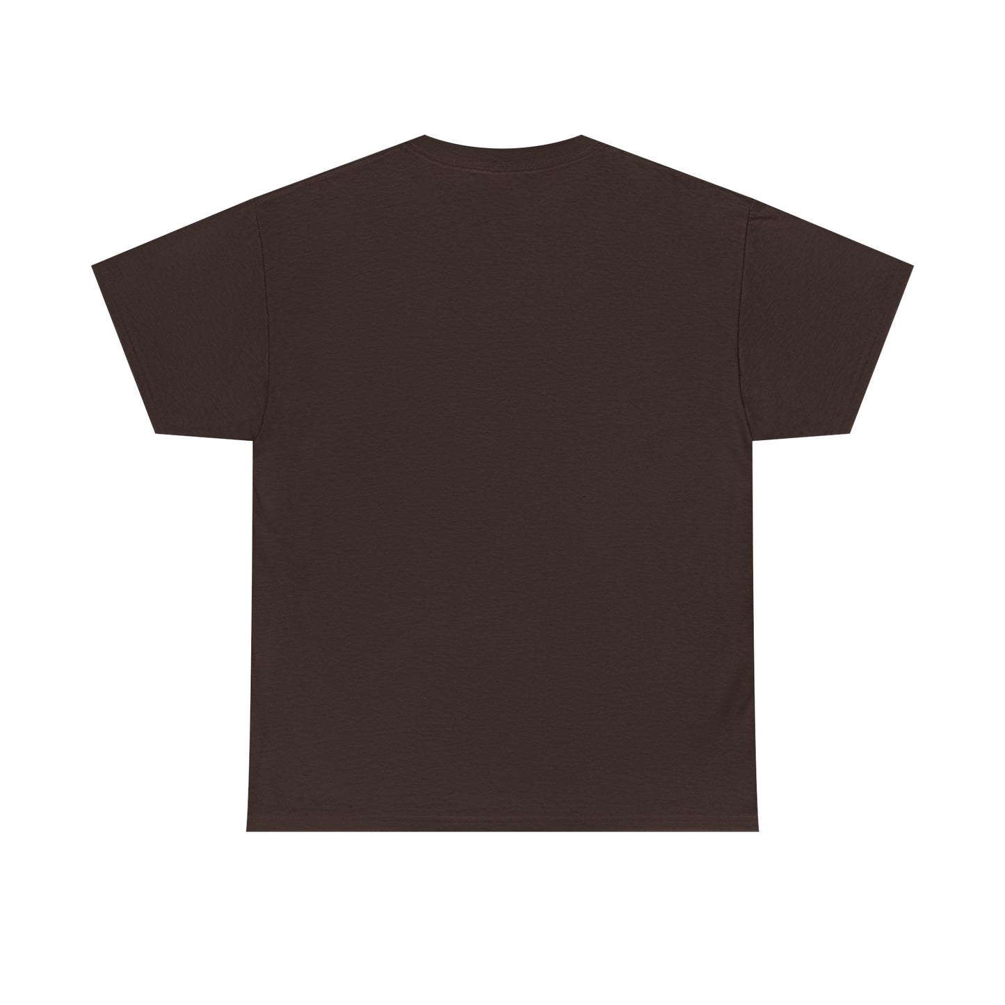 T-shirt “Skull Fire & Ice” – Coton épais unisexe, streetwear graphique