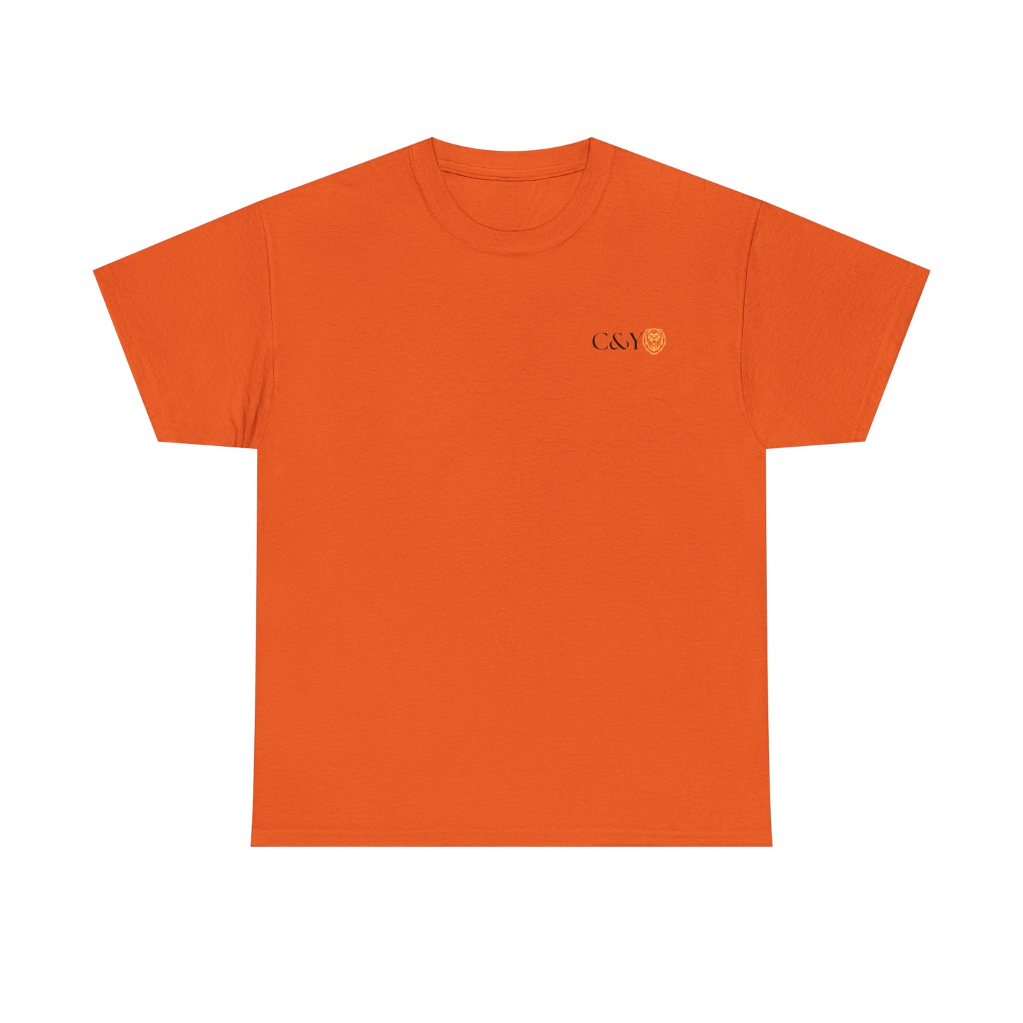 Unisex T-shirt C&Y, Casual Wear